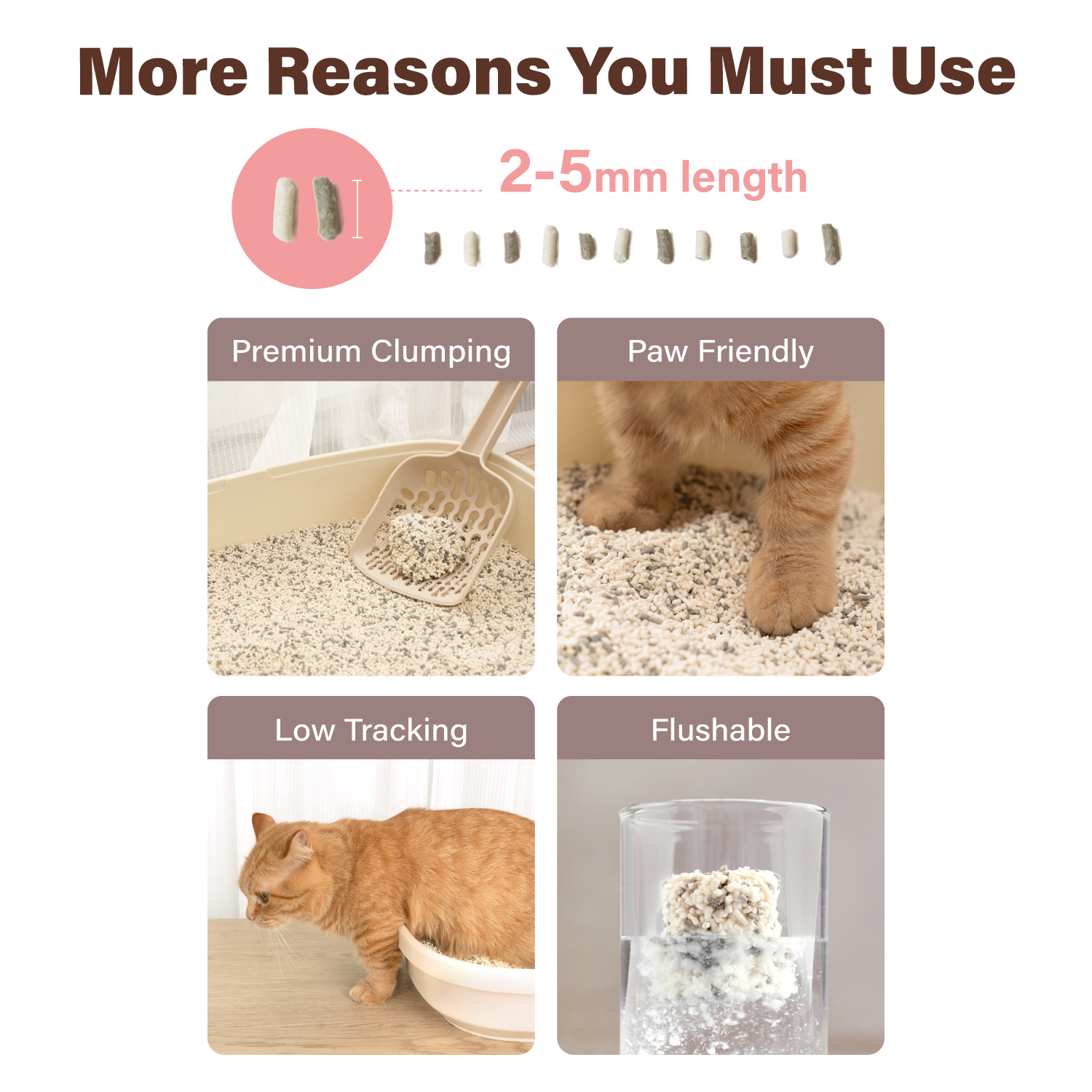 Chewbarka Pet Milk & Food